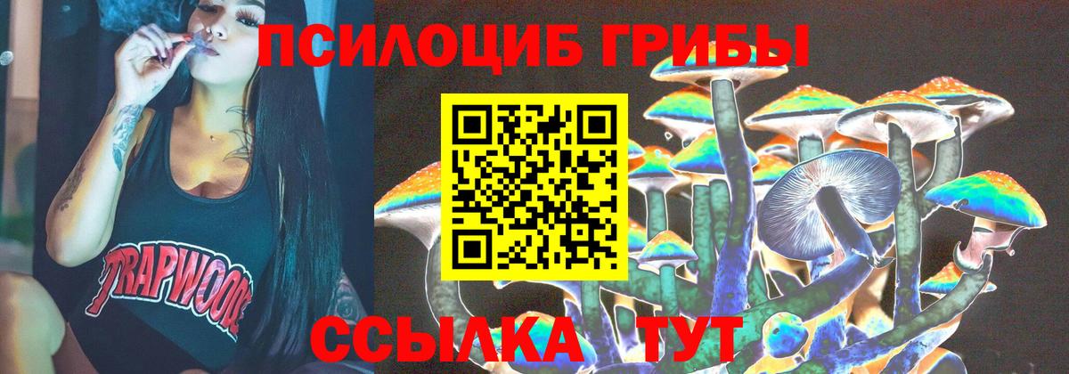 Галлюциногенные грибы Psilocybine cubensis Кирово-Чепецк