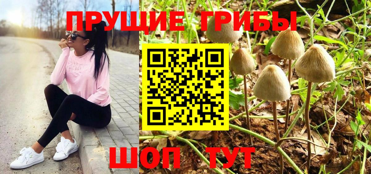 купить наркоту  Галлюциногенные грибы мухоморы  Кирово-Чепецк  Вход с VPN  Галлюциногенные грибы Psilocybine cubensis 